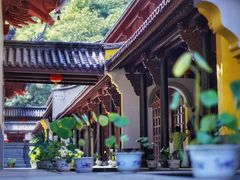 -新昌大佛寺文化旅游区