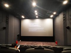 -SFC上影影城(港汇永华IMAX激光店)