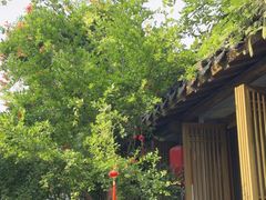 -鲤院·新中式美学·庭院餐厅(夫子庙店)