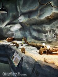 -Zoolung Zoolung动物主题公园(海信广场店)