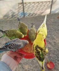 -萌宠亲子动物乐园(槐房万达店)