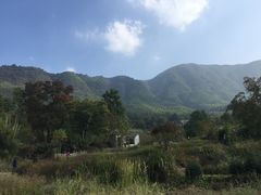 -塔川景区