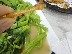 -金瑞轩大酒楼·顺德鱼生·粤菜海鲜(东江国际店)