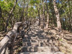 -梧桐山风景名胜区