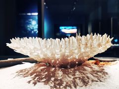 -海口市博物馆
