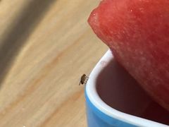 -皇室假期美食水疗会(春风路店)