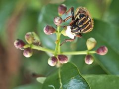 -福田红树林生态公园