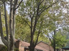 -西安电影制片厂