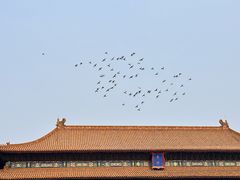 -故宫博物院(故宫)