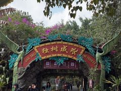 -瑞丽独树成林风景区