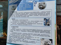 -青藏高原野生动物园