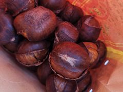 -小宝栗子(嘉华国际商业中心店)