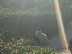 -悦宠凯宝动物医院·牙科·皮肤科(朝阳北路店)