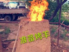 -高家大院烤全羊