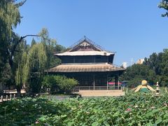 -保定市动物园