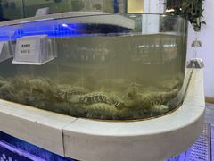 -大众海鲜(巨龙北路店)