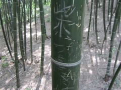 -乌镇东栅景区