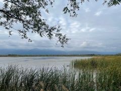 -野鸭湖国家湿地公园