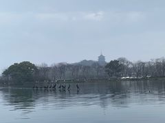 -西湖游船