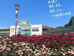 -立新湖公园