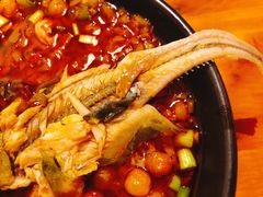 -三道苗苗鱼·美蛙黄辣丁(八里店)