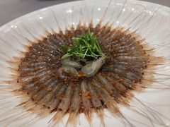 呛白米虾-花锦堂·隐庐