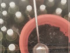 -伯公坳敏记凉粉