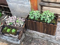 -浔岚云舍mist静谧观景美宿(丽江古城店)