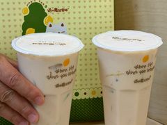 -猫的魔法密林(衣裳街店)