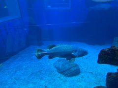 -太平洋海底世界