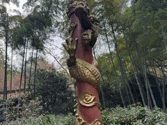 -杭州黄龙洞