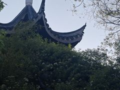 -芥子园