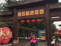 -北海金海湾红树林生态旅游区