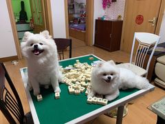 -美迦爱-牙专科·兔科·骨科诊疗中心(北苑店)