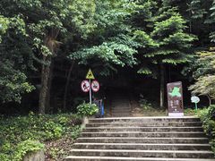 -上海佘山国家森林公园天马山园