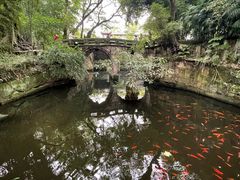 -鹅岭公园瞰胜楼