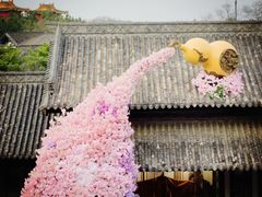 -茅山东方盐湖城景区