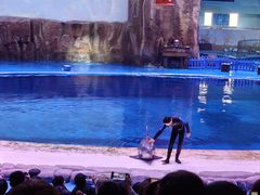 -华夏文旅海洋公园