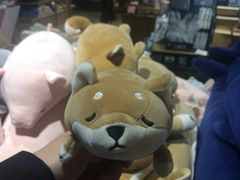 -九木杂物社(江宁金鹰店)