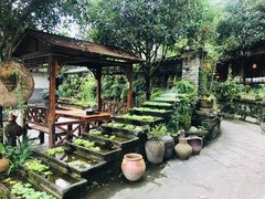 -青城甲(青城山店)