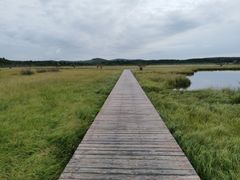 -塞罕坝国家级自然保护区