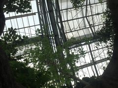 -南山植物园