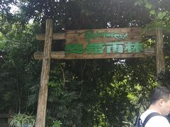 -青青世界