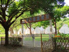 -东莞市大岭山森林公园