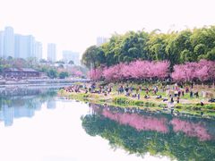 -望江楼公园