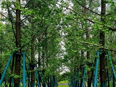 -木塔寺遗址生态公园