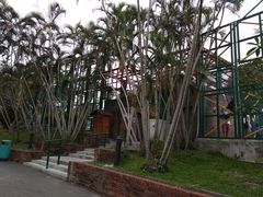 -纪念孙中山市政公园