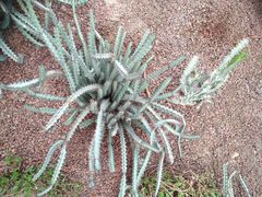 -南通洲际绿博园