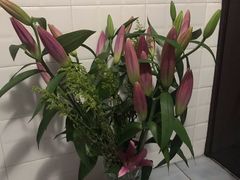 -双季花艺园艺市场(浦东店)