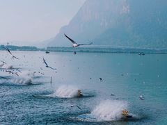-海埂大坝